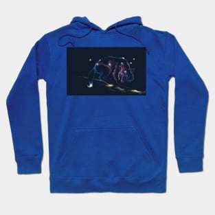 Astral Wolf Hoodie